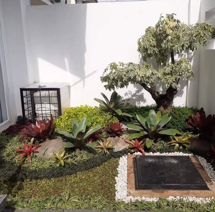 Tukang Taman Lamongan 2